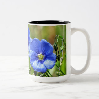 Schöne Wildblumen blühen Kananaskis Zweifarbige Tasse