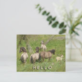 Schöne Wilde Pferde HELLO Postkarte (Stehend Vorderseite)