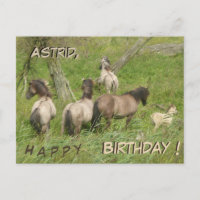 Schöne wilde Pferde Kruste. Geburtstagskarte