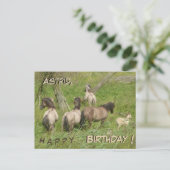 Schöne wilde Pferde Kruste. Geburtstagskarte Postkarte (Stehend Vorderseite)