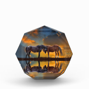 Schöne Wilde Pferde und Wasserkunst Fotoblock