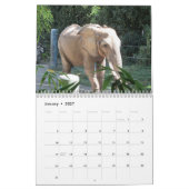 Schöne wilde Tiere in der Natur Kalender (Jan 2027)