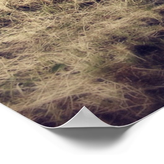 Schöne Wildpferde Poster (Ecke)