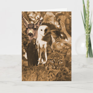 Schöne Wildtiere blank Karte