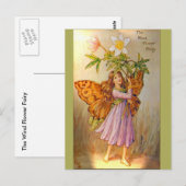 Schöne Windblumenfee Postkarte (Vorne/Hinten)