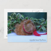 Schöne Winter Guinea Schweinekarte Postkarte (Vorne/Hinten)