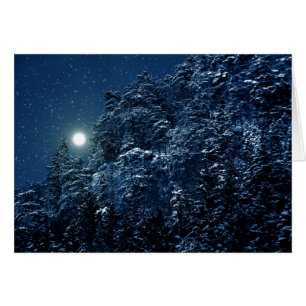Schöne Winterlandschaft mit Schnee bedeckte Bäume