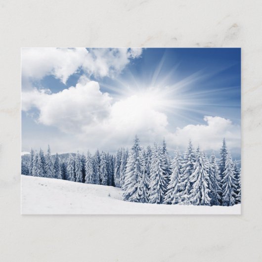 Schöne Winterlandschaft mit Schnee Postkarte (Vorderseite)