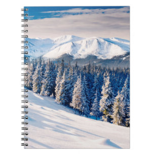 Schöne Winterlandschaft mit schneebedeckten Bäumen Notizblock