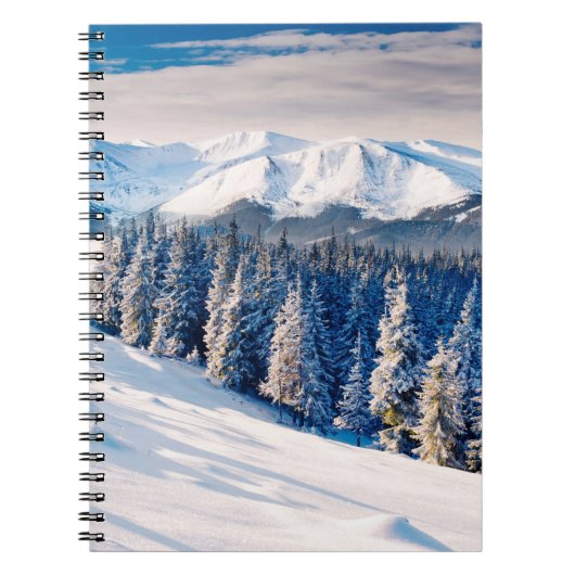 Schöne Winterlandschaft mit schneebedeckten Bäumen Notizblock (Vorderseite)