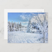Schöne Winterschneewaldlandschaft Postkarte (Vorne/Hinten)