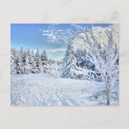 Schöne Winterschneewaldlandschaft Postkarte (Vorderseite)