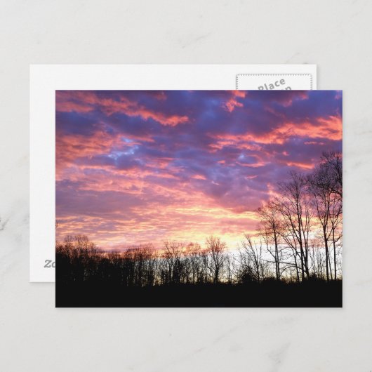 Schöne Wintersonne Postkarte (Vorne/Hinten)