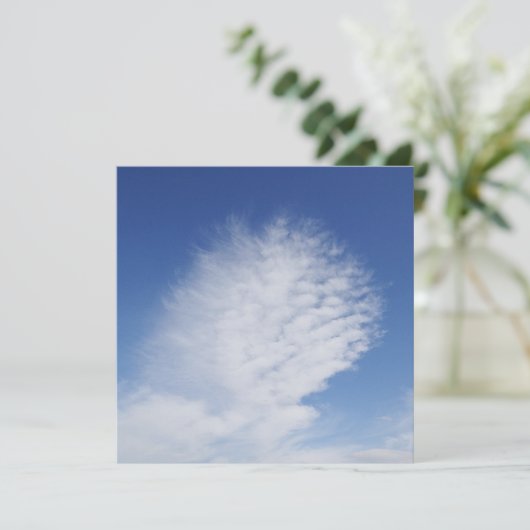 Schöne Wolke (Stehend Vorderseite)