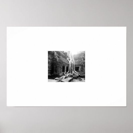 Schöne Wurzeln - Angkor Wats - Kambodscha Poster (Vorne)