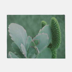 Schöne Wüste Pflanze Art Foto Fußmatte
