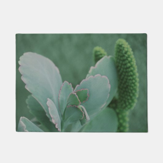 Schöne Wüste Pflanze Art Foto Fußmatte (Vorderseite)
