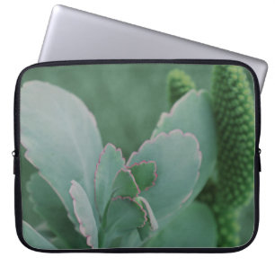 Schöne Wüste Pflanze Art Foto Laptopschutzhülle