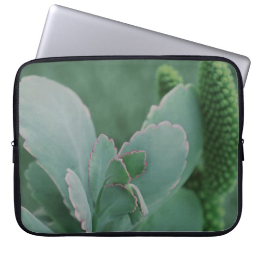 Schöne Wüste Pflanze Art Foto Laptopschutzhülle (Vorderseite)