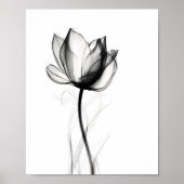 Schöne Xray Tulip Art Print Poster (Vorne)