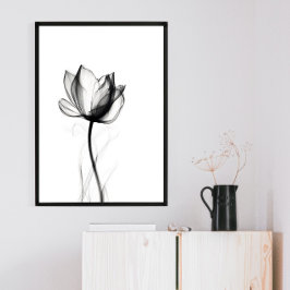 Schöne Xray Tulip Art Print Poster