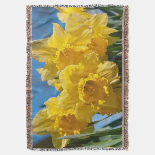 Schöne Yellow Daffodien Decke (Vorderseite Vertikal)