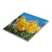 Schöne Yellow Daffodien Fliese (Seite)
