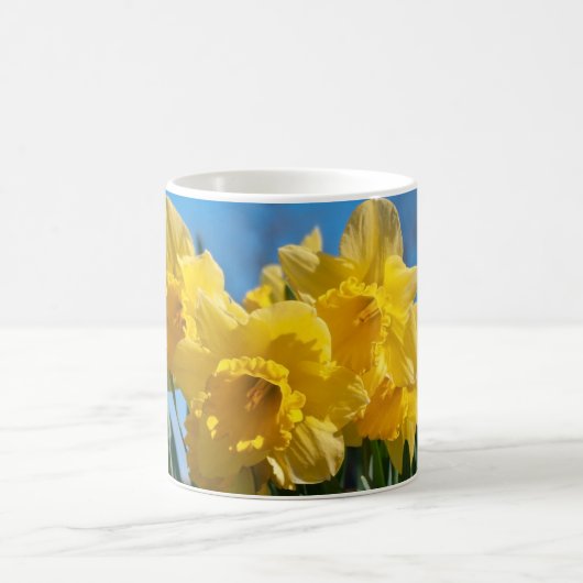 Schöne Yellow Daffodien Kaffeetasse (Mittel)