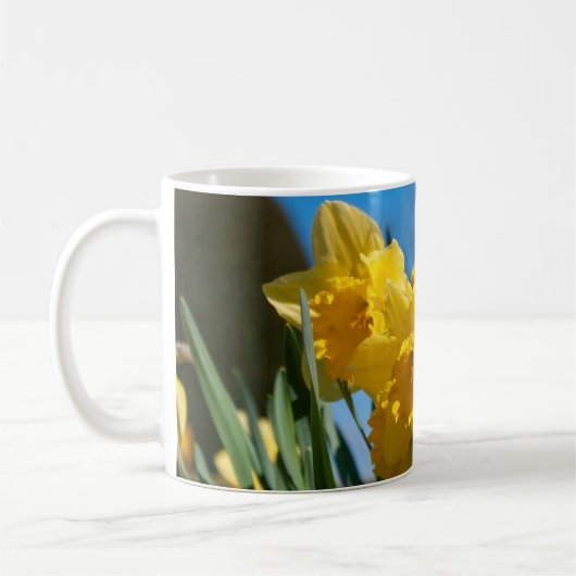 Schöne Yellow Daffodien Kaffeetasse (Links)