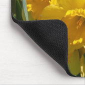 Schöne Yellow Daffodien Mousepad (Ecke)