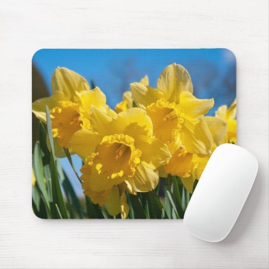 Schöne Yellow Daffodien Mousepad (Mit Mouse)