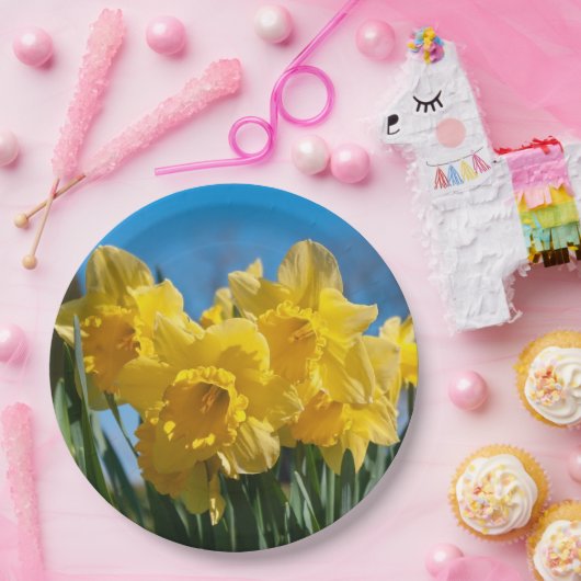 Schöne Yellow Daffodien Pappteller (Party)