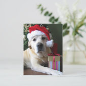Schöne Yellow Labrador Santa Feiertagspostkarte (Stehend Vorderseite)