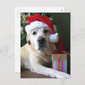 Schöne Yellow Labrador Santa Feiertagspostkarte (Vorne/Hinten)