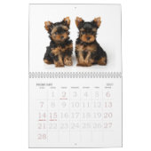 Schöne Yorkshire-Terrier Kalender (Feb 2027)
