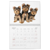 Schöne Yorkshire-Terrier Kalender (Mär 2027)