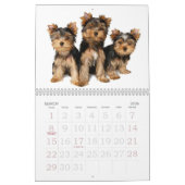 Schöne Yorkshire-Terrier Kalender (Mär 2026)