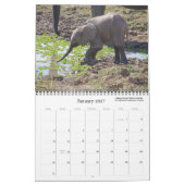 SCHÖNE ZAMBIEN UND BOTSWANA WILDLIFE KALENDER (Jan 2027)
