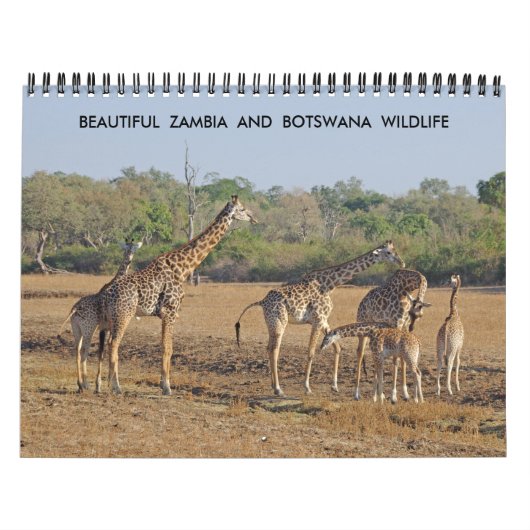 SCHÖNE ZAMBIEN UND BOTSWANA WILDLIFE KALENDER (Titelbild)