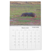 SCHÖNE ZAMBIEN UND BOTSWANA WILDLIFE KALENDER (Mär 2026)