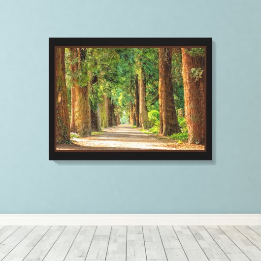 Schöne zauberhafte Frühlingswald Canvas Print Leinwanddruck (Insitu (Holzboden))