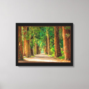 Schöne zauberhafte Frühlingswald Canvas Print Leinwanddruck