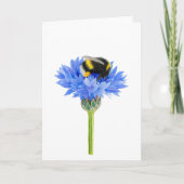 Schöne, Zeichnend geklappte Grußkarte Karte (Vorderseite)