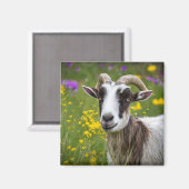 Schöne Ziege Magnet (Vorderseite/Rückseite)