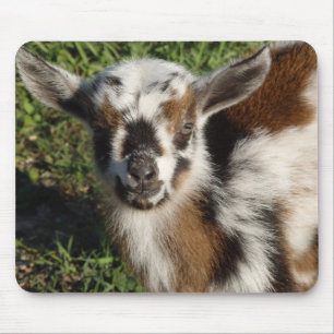 Schöne Ziegenmuse Mousepad