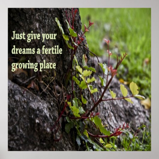 Schöne Zitate Poster (Vorne)