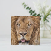 Schöne Zoo Safari Lion Fotografie (Stehend Vorderseite)