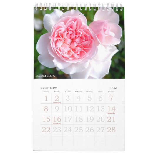 Schönerタプレ Roseダ Kalender (Feb 2026)
