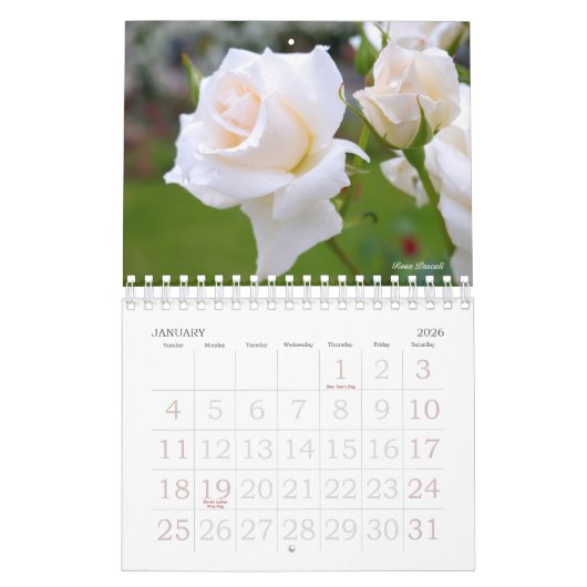 Schönerタプレ Roseダ Kalender (Jan 2026)