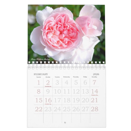 Schönerタプレ Roseダ Kalender (Feb 2026)